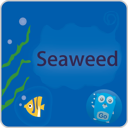 SeaweedFS logo